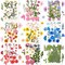 167-Piece Dried Pressed Flowers for Crafts – Multicolor Natural Daisy & Wildflowers for Resin, Candle, Soap, Jewelry, Nail Art, Scrapbooking & DIY Projects (Fresh Color)